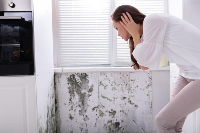 woman looking at mold on wall 1
